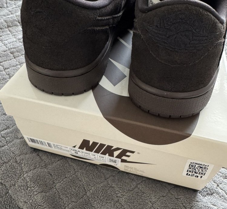 Travis Scott Jordan 1