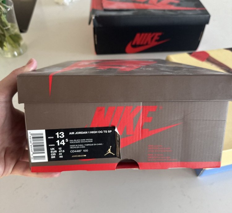 Travis Scott Jordan 1 High
