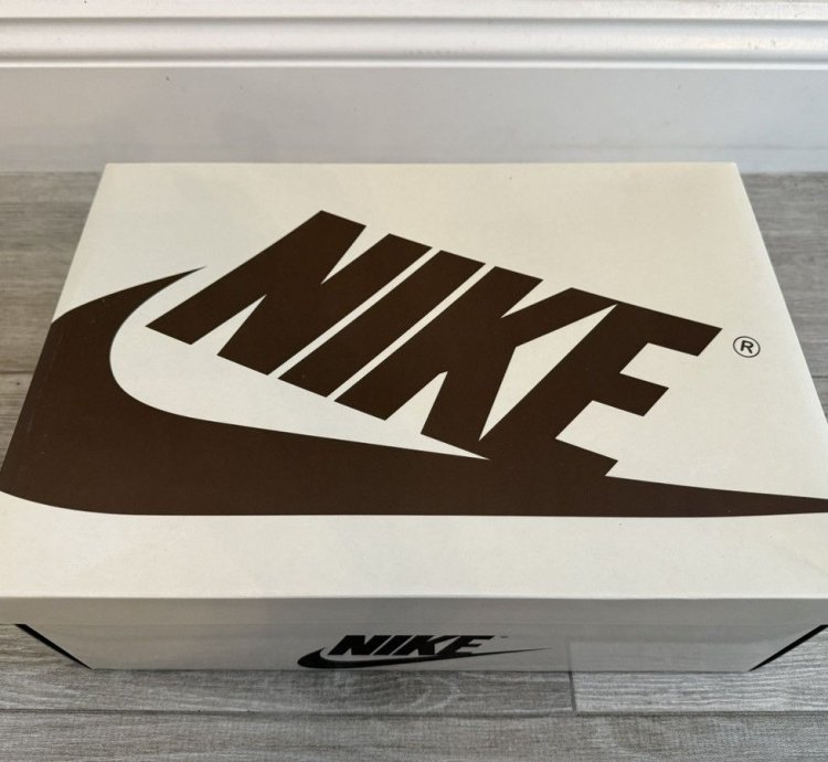 Travis Scott Jordan 1 Retro Low Velvet Brown Dark Mocha 12