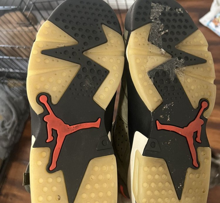 Travis Scott Jordan 6
