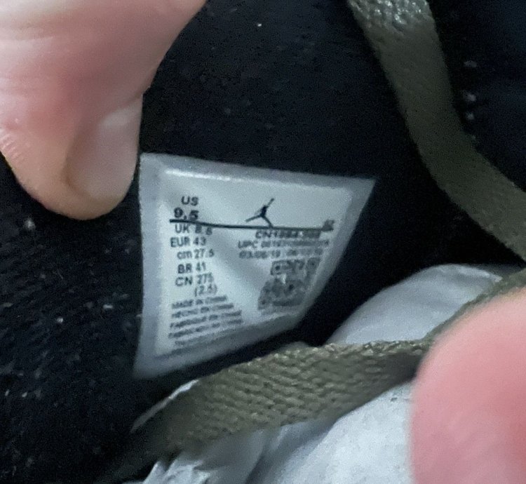 Travis Scott Jordan 6