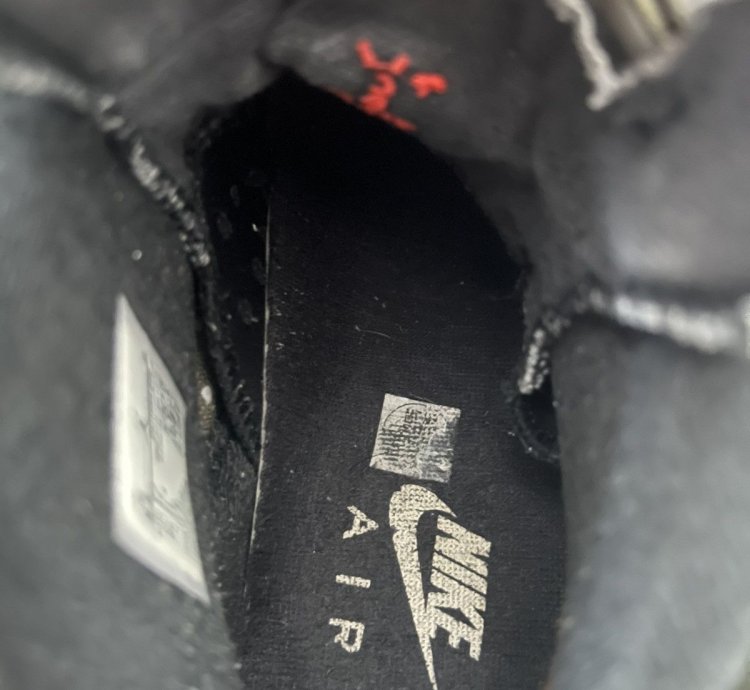 Travis Scott Jordan 6