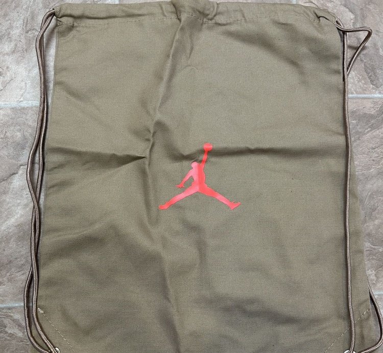 Travis Scott Khaki Jordan 6