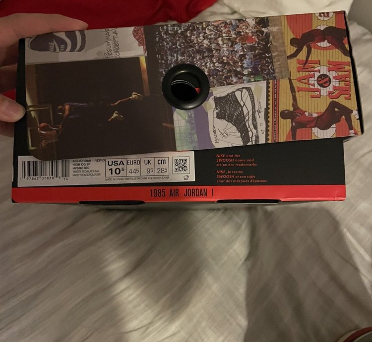 Union Jordan 1 Chicago Shadow