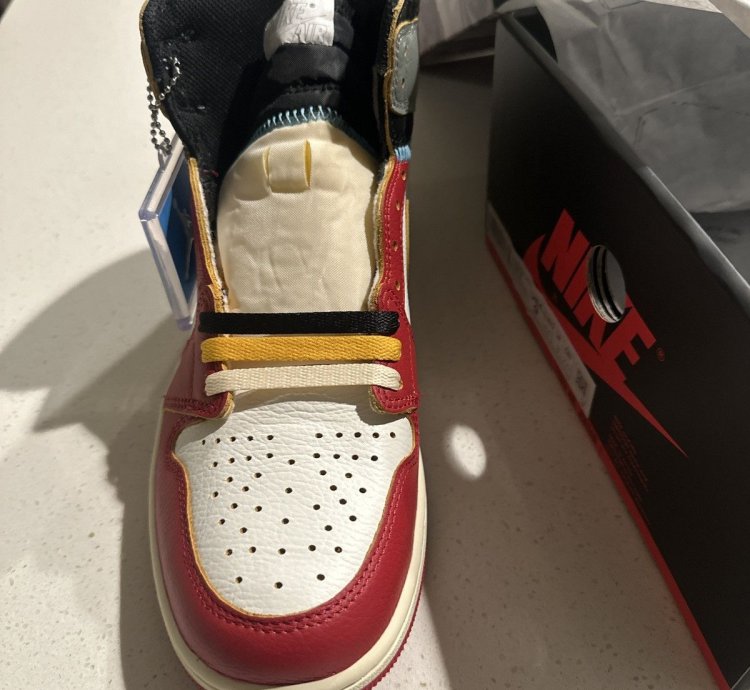 Union La Jordan 1 Back