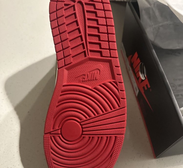 Union La Jordan 1 Back