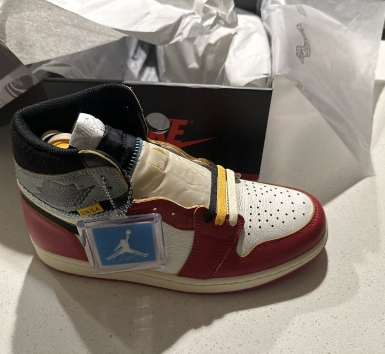Union La Jordan 1 Back