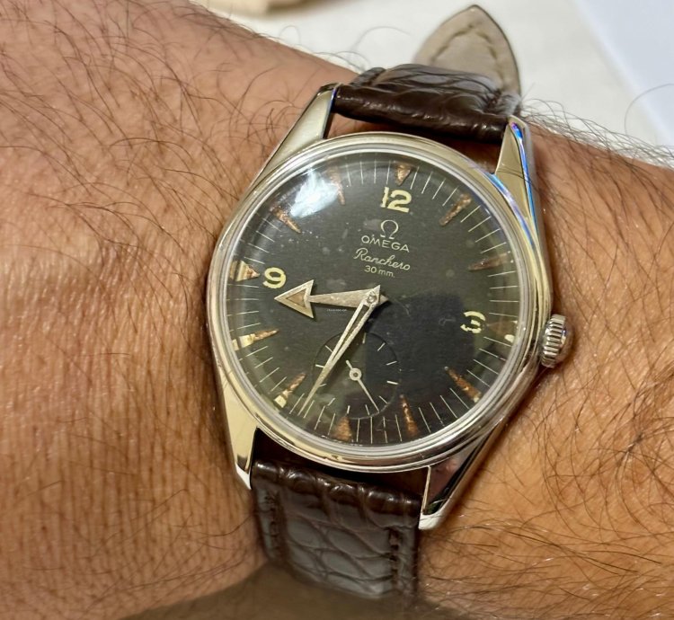Omega Ranchero