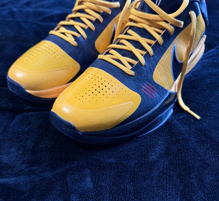 Zoom Kobe 5 Protro Bruce Lee