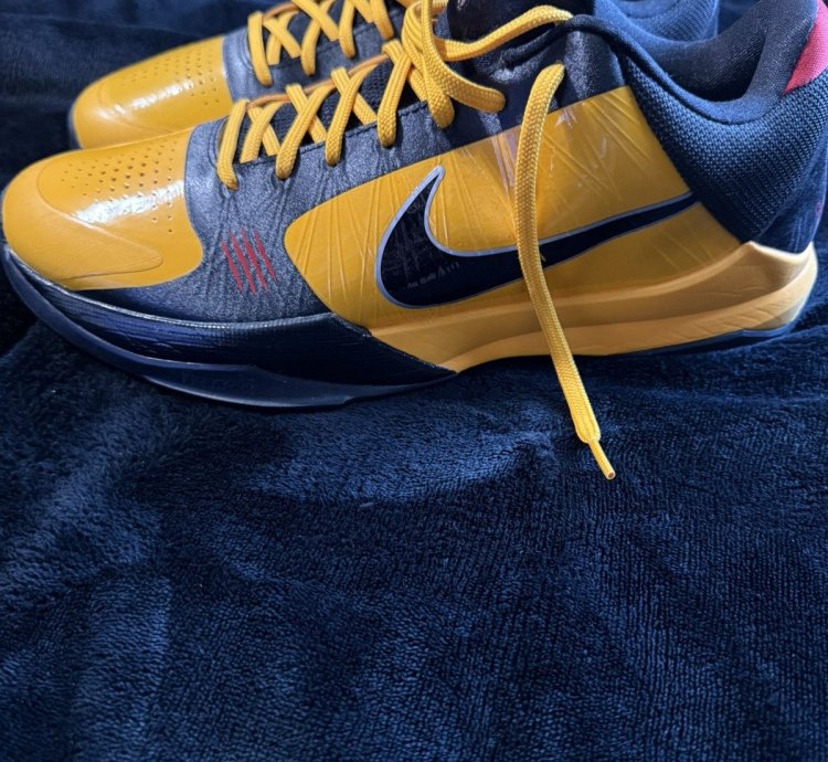 Zoom Kobe 5 Protro Bruce Lee