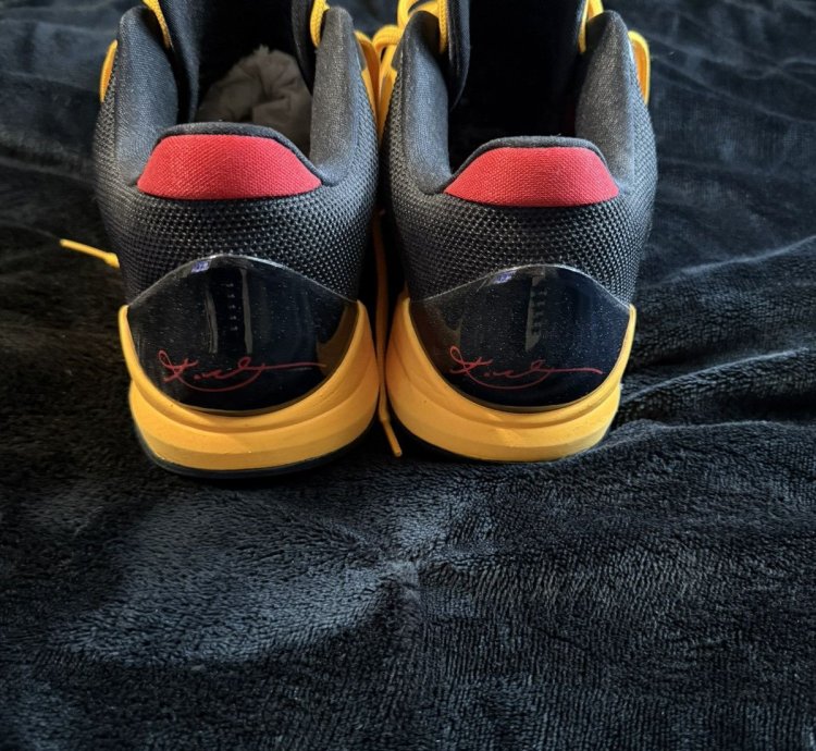 Zoom Kobe 5 Protro Bruce Lee