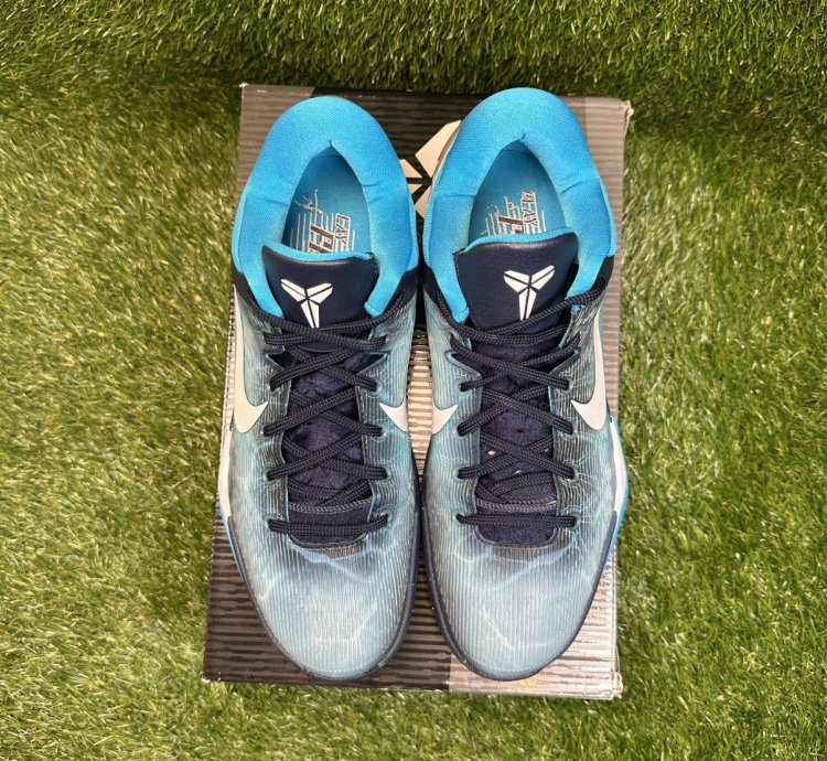 Zoom Kobe 7 System Shark