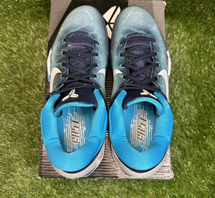 Zoom Kobe 7 System Shark
