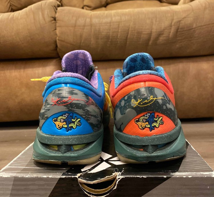 Zoom Kobe 7 System What The Kobe