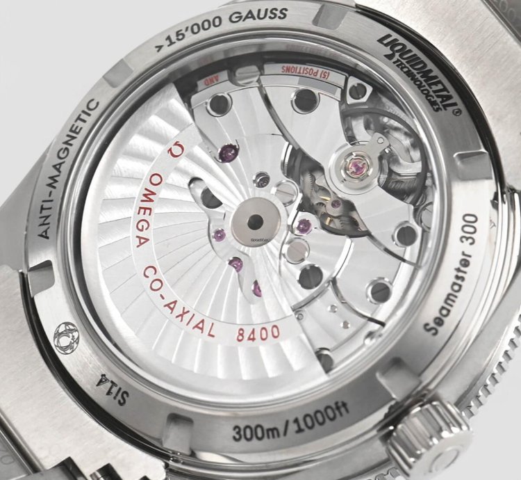 Omega Seamaster 300 Master Co-axial 41mm Automatic Blue Dial Titanium 1