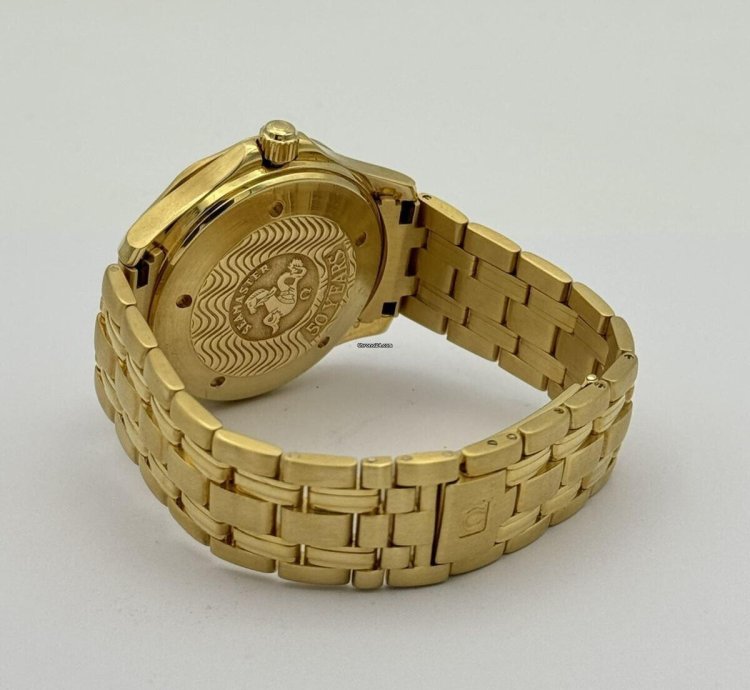 Omega Seamaster 41 Gmt Herren Uhr 26348093 Full Set 18k 750 Massiv Gold