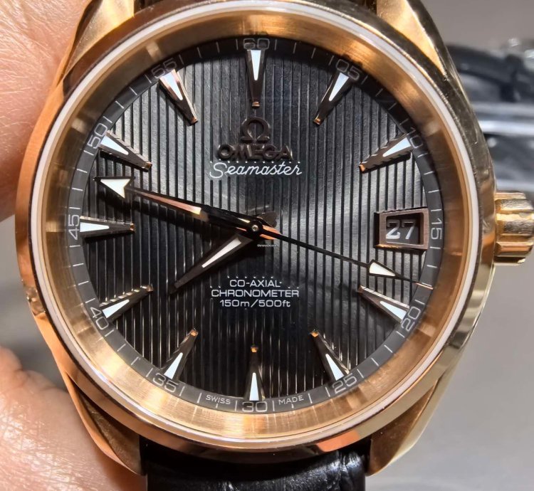 Omega Seamaster Aqua Terra 231 53 39 21 06 001