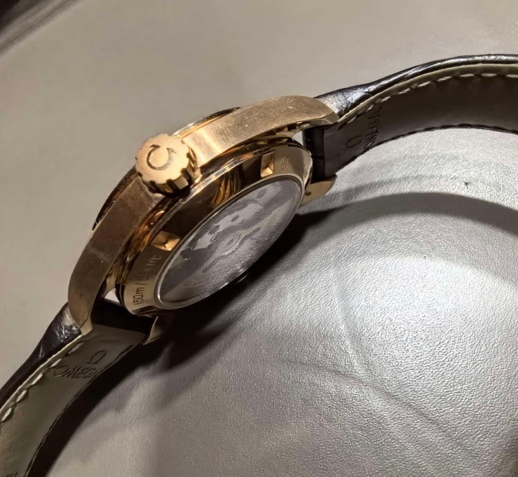 Omega Seamaster Aqua Terra 231 53 39 21 06 001
