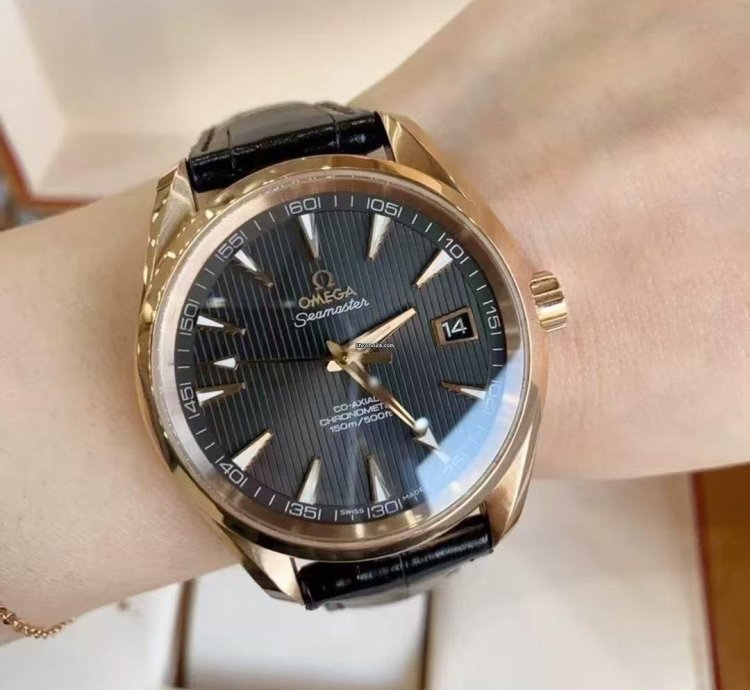 Omega Seamaster Aqua Terra 231 53 42 21 06 001