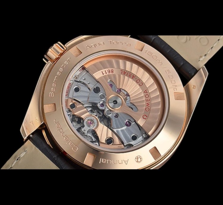 Omega Seamaster Aqua Terra Automatic Men Leather Watch
