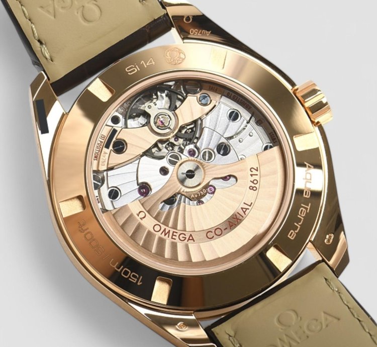 Omega Seamaster Aqua Terra Co-axial Day Date 41 5mm Men Luxury Watch