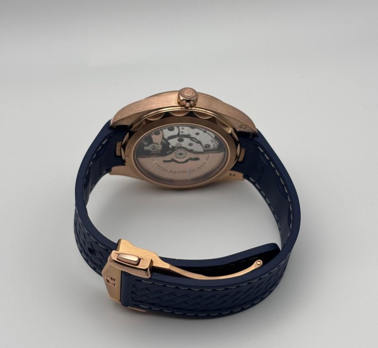 Omega Seamaster Aqua Terra Master 18k Gold