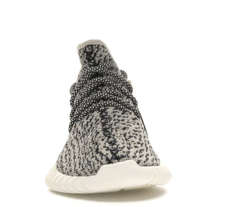 Yeezy Boost 350 Turtle Dove