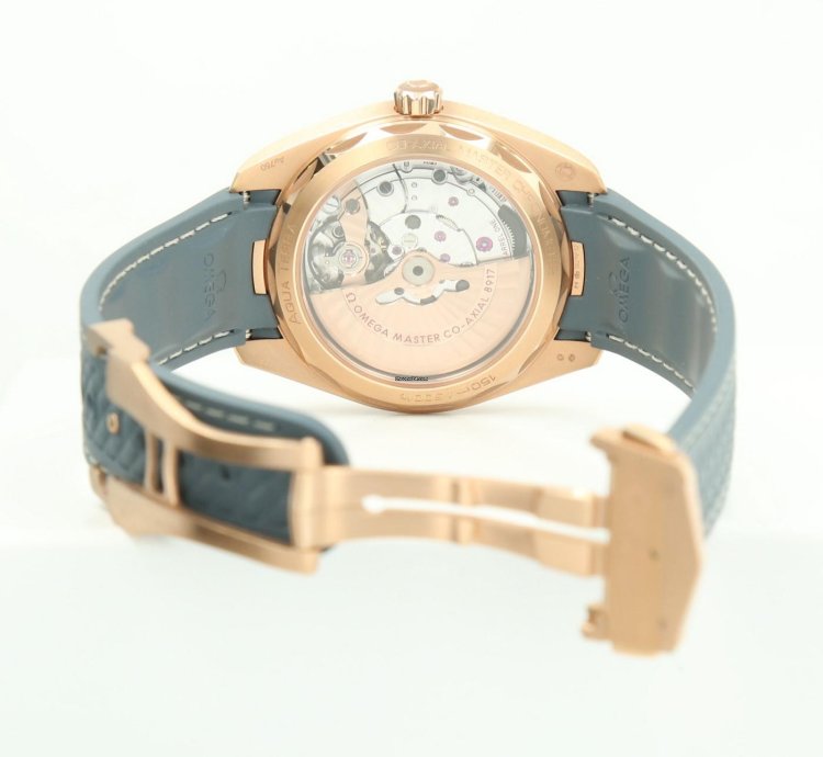Omega Seamaster Aqua Terra Sedna Gold