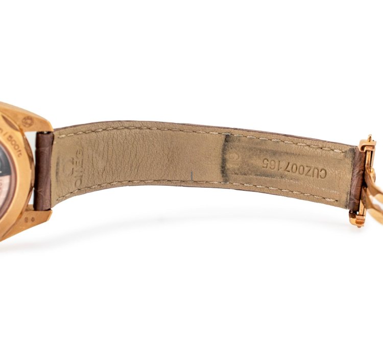 Omega Seamaster Aqua Terra Sedna Gold
