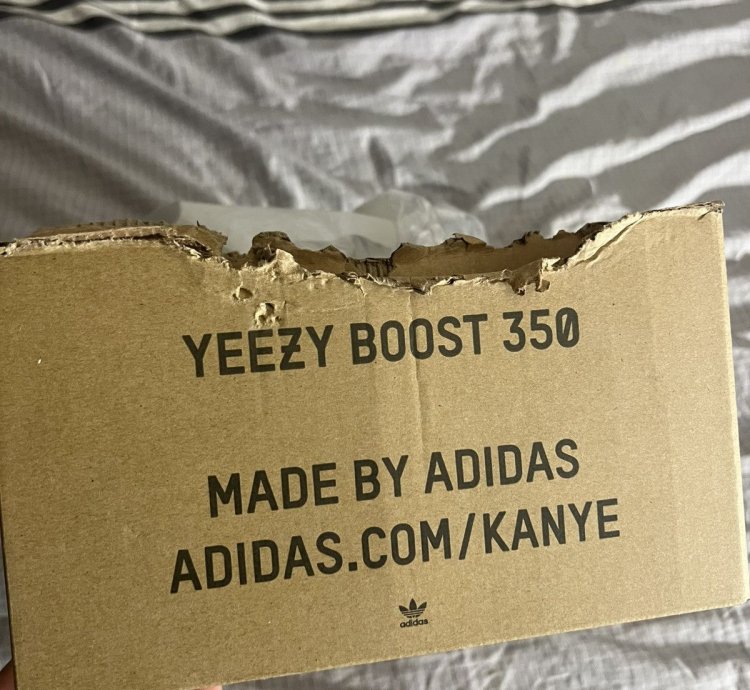 Yeezy Boost 350 V2