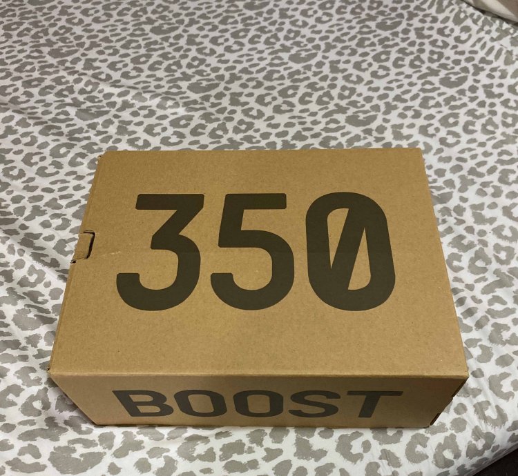 Yeezy Boost 350 V2 Bone