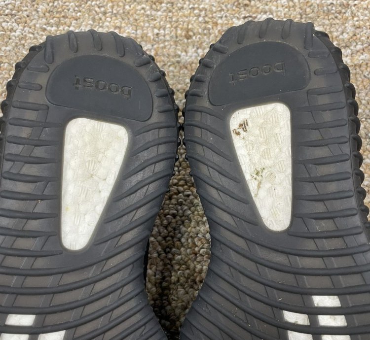 Yeezy Boost 350 V2 Bred 2017