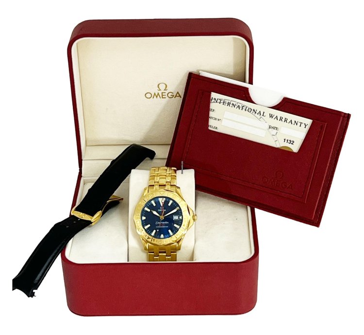 Omega Seamaster Diver 300 Gmt