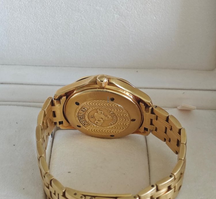 Omega Seamaster Diver 300 Gmt Full Gold Omega Watch