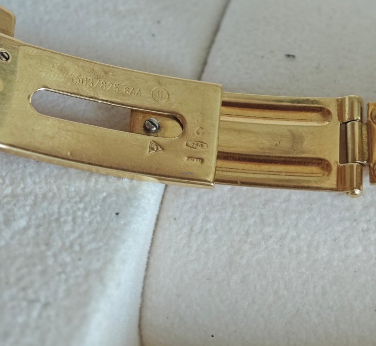 Omega Seamaster Diver 300 Gmt Full Gold Omega Watch