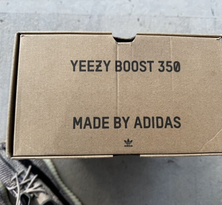 Yeezy Boost 350 V2 Zyon