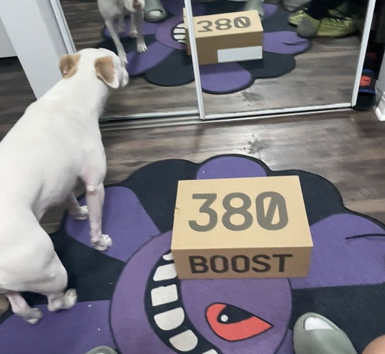 Yeezy Boost 380 Yecoraite