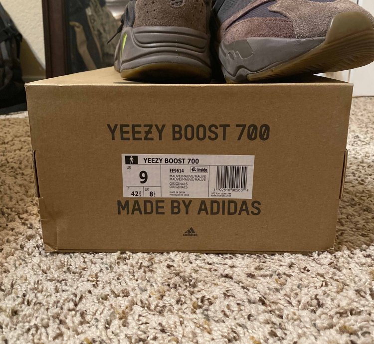 Yeezy Boost 700 Mauve