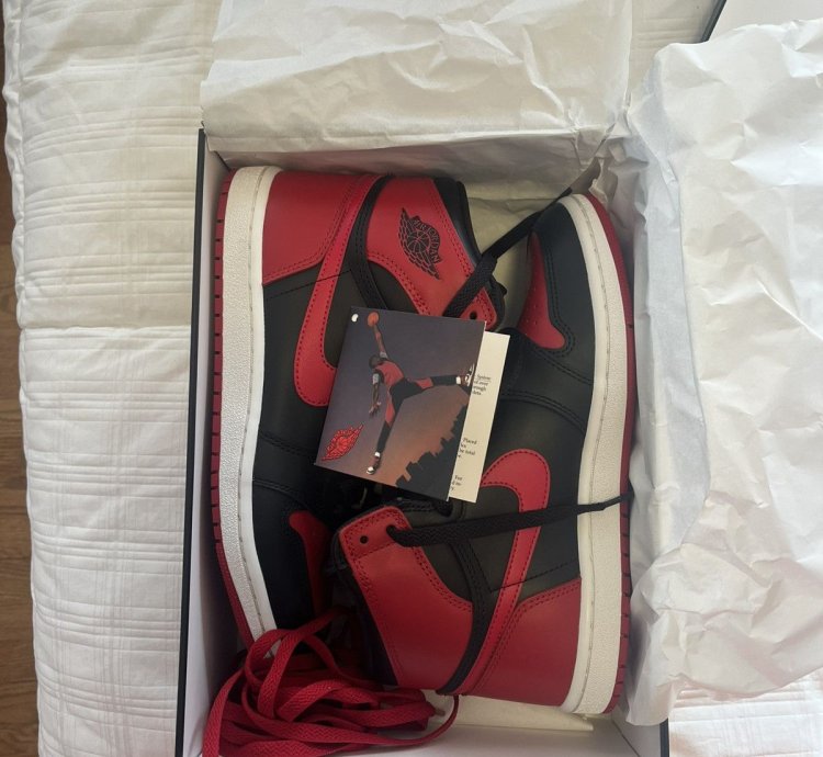 Air Jordan 1 Bred Banned