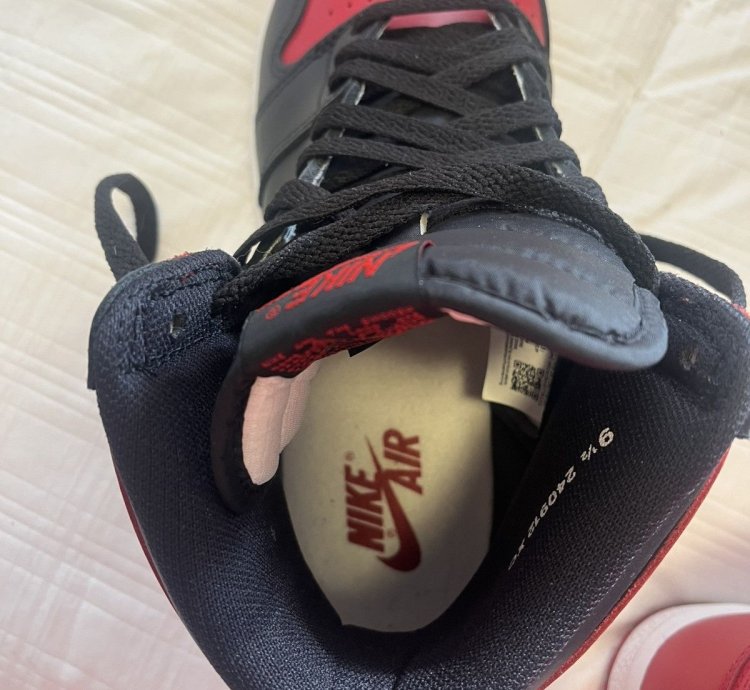 Air Jordan 1 Bred Banned