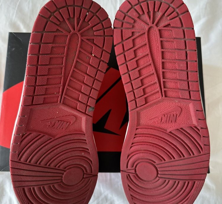 Air Jordan 1 Retro Bread 2016