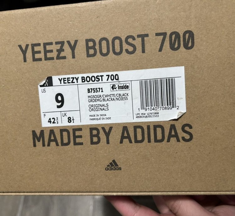 Yeezy Waverunner