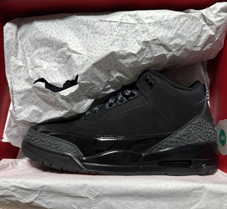 Air Jordan 3 Black Cat Size 9 5