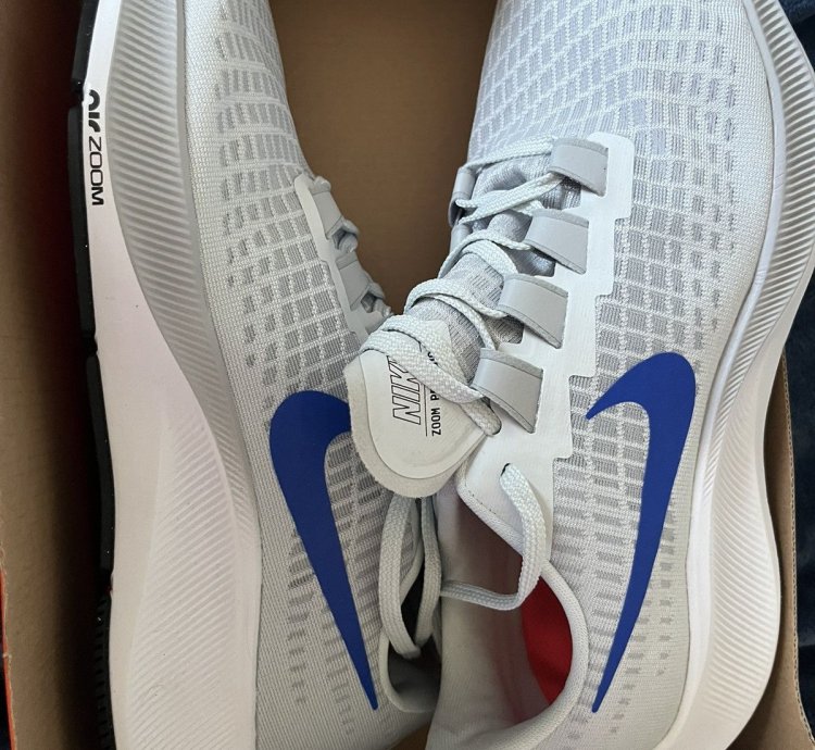 Zoom Pegasus 37