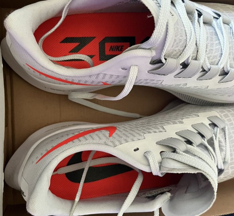 Zoom Pegasus 37