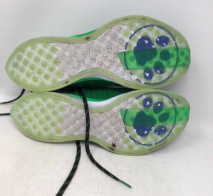 Zoom Pegasus Turbo 2 Doernbecher 2019