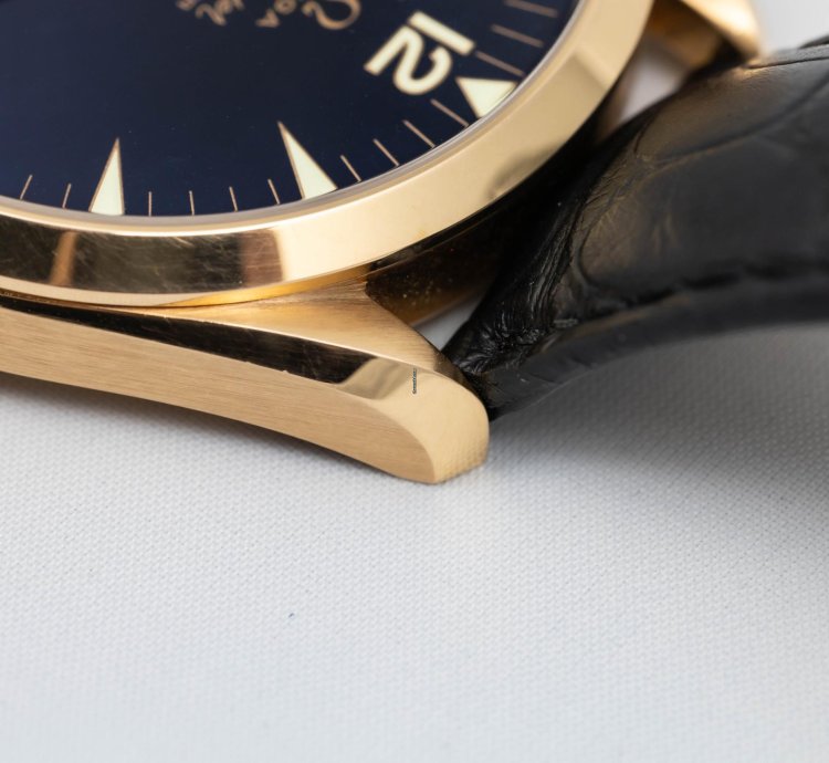 Omega Seamaster Railmaster Xxl