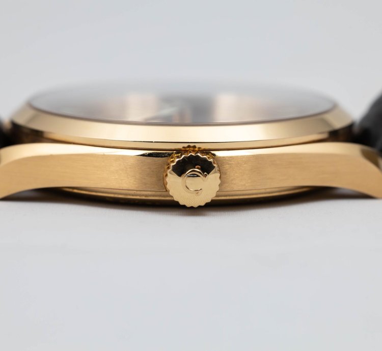 Omega Seamaster Railmaster Xxl