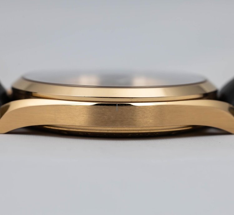 Omega Seamaster Railmaster Xxl