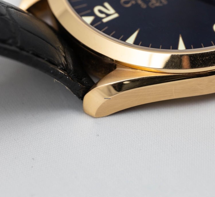 Omega Seamaster Railmaster Xxl